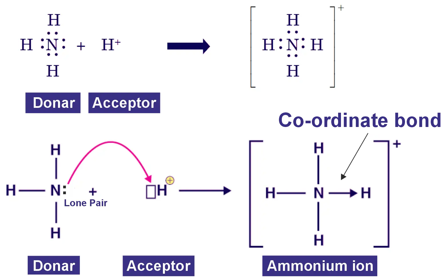 Formation of Ammonium Ion. The nitrogen atom in NH₃ donates its lone pair of electrons to the hydrogen ion (H⁺) to form a coordinate covalent bond (H3N→H⁺) between NH₃ and H⁺