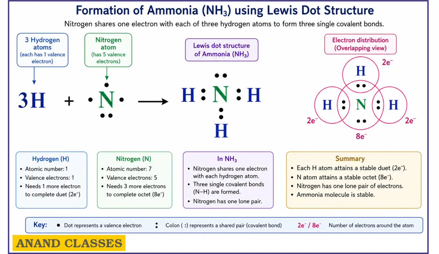 An ammonia (NH₃) molecule is formed by three single covalent bonds (N–H).