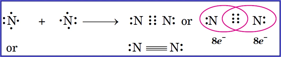 How does a Nitrogen (N₂) Molecule form triple covalent bond between two Nitrogen atoms ?