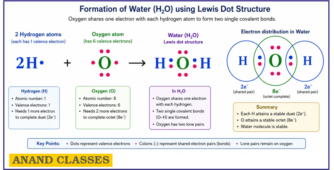 A water (H₂O) molecule is formed by two single covalent bonds (O–H). Oxygen still has two lone pairs of electrons that are not involved in bonding. 