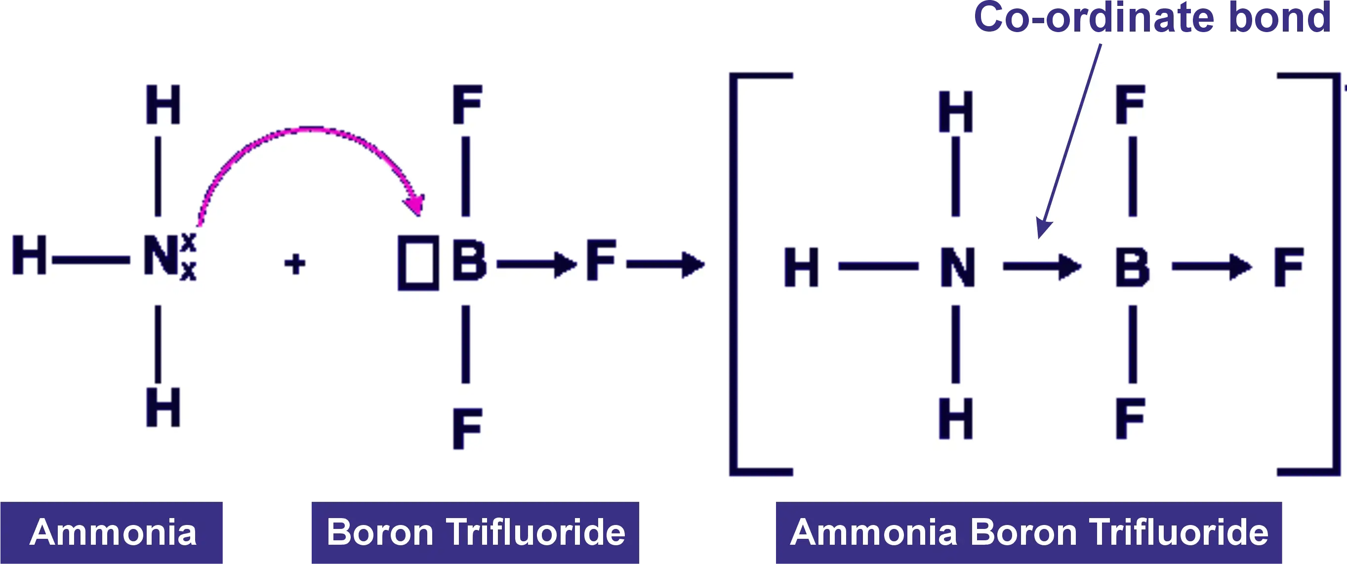 How is a co-ordinate covalent bond formed between Ammonia (NH₃) and Boron Trifluoride (BF₃) to Form of Ammonia Boron Trifluoride adduct ?
