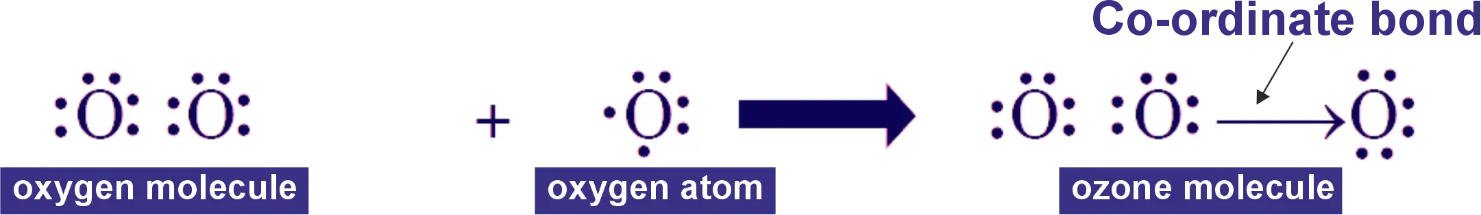 How is a co-ordinate covalent bond formed between oxygen molecule (O2) and oxygen atom (O) to form ozone (O3) molecule ?